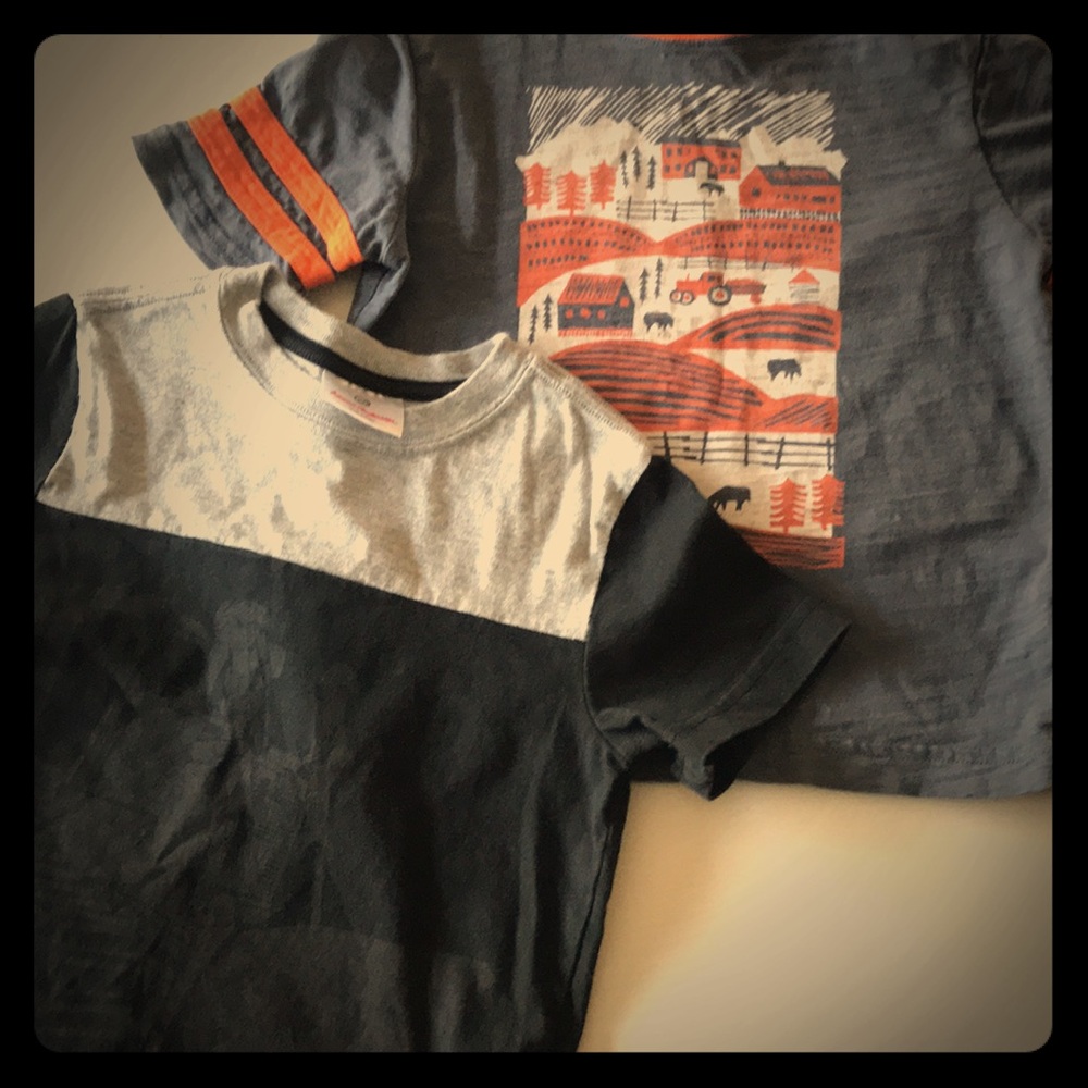 2 for 1 boys Hanna Anderson t-shirts